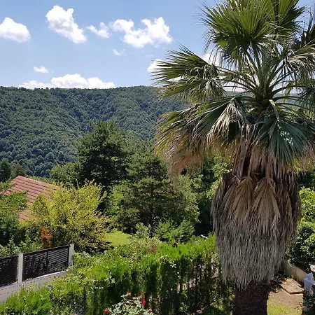 Guzide Villa *